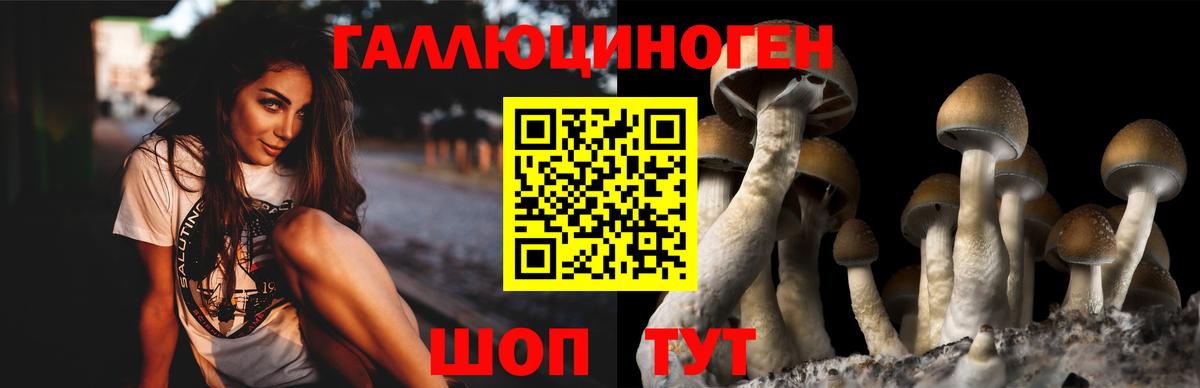 Галлюциногенные грибы MAGIC MUSHROOMS Можга