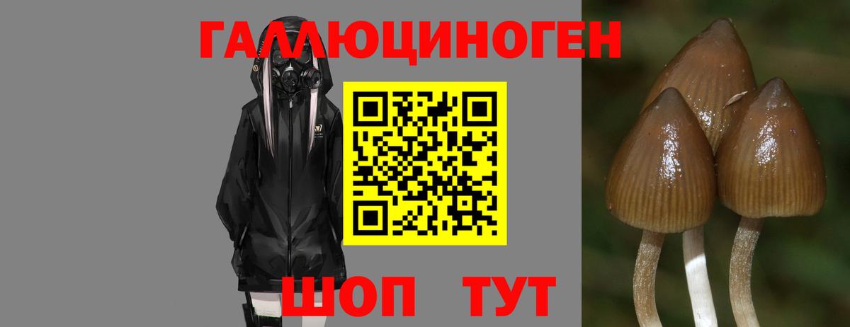 Галлюциногенные грибы Cubensis  Галлюциногенные грибы Psilocybe  Вход с VPN  Можга 
