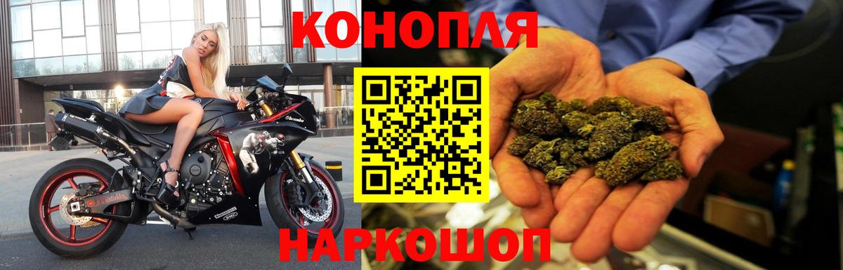 Канабис Bruce Banner  Вход с VPN  Конопля OG Kush  Можга 
